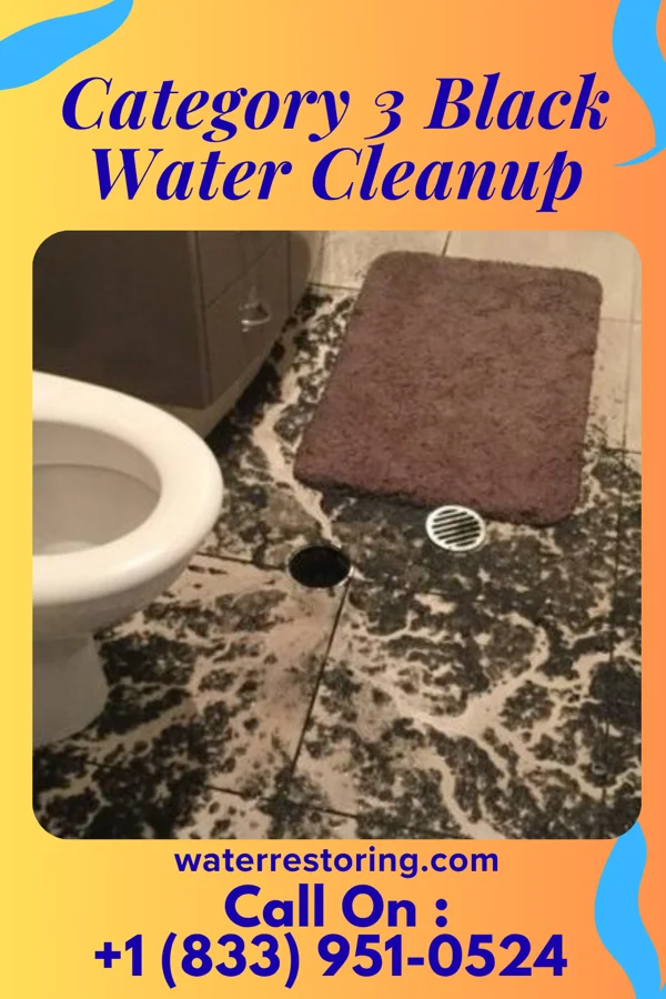 Category 3 Black Water Cleanup in Brownlee, NE